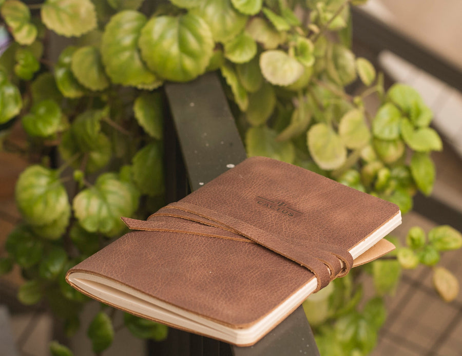 NUEVA VERSIÓN! // Bitácora Nuez