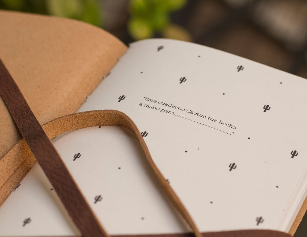 NUEVA VERSIÓN! // Bitácora Nuez