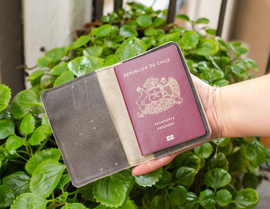 EDICIÓN LIMITADA// Porta pasaporte gris